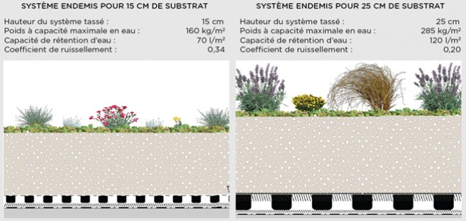 schéma de plantations sur toitures