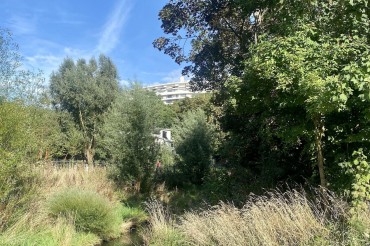 La rivière de la Bièvre et la végétation de ses rives 