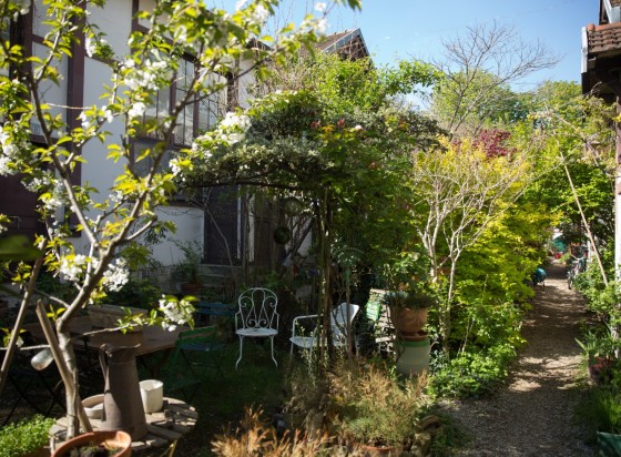 jardin devant habitation avec chaises et arbres