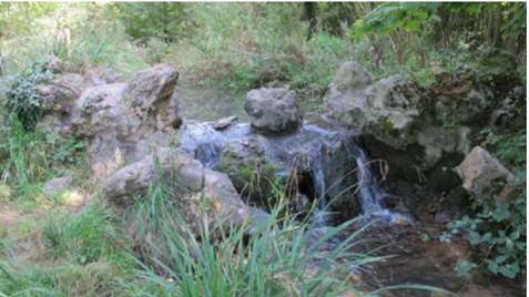 photo d'un bief : petite cascade faites de pierres entre deux portions de rivière pour amener du courant, avec une végétation sur les bords