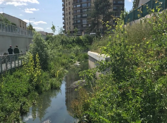La rivière de la Bièvre et sa végétation dans le Parc du Coteau à Arcueil