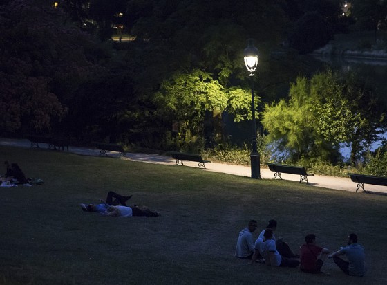 Vue d'un parc la nuit