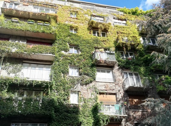 façade d'immeuble végétalisée
