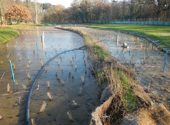 évacuation eaux pluviales