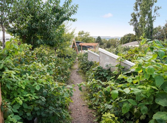 La ferme Suzanne - © Cultures en ville
