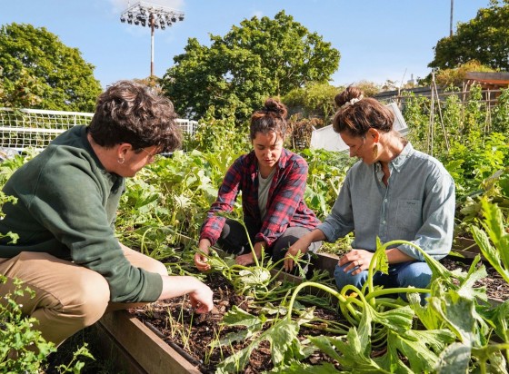 La ferme Suzanne - © Cultures en ville