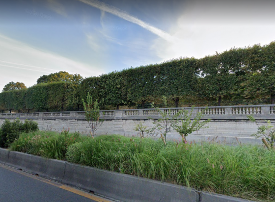 séparateur végétalisé